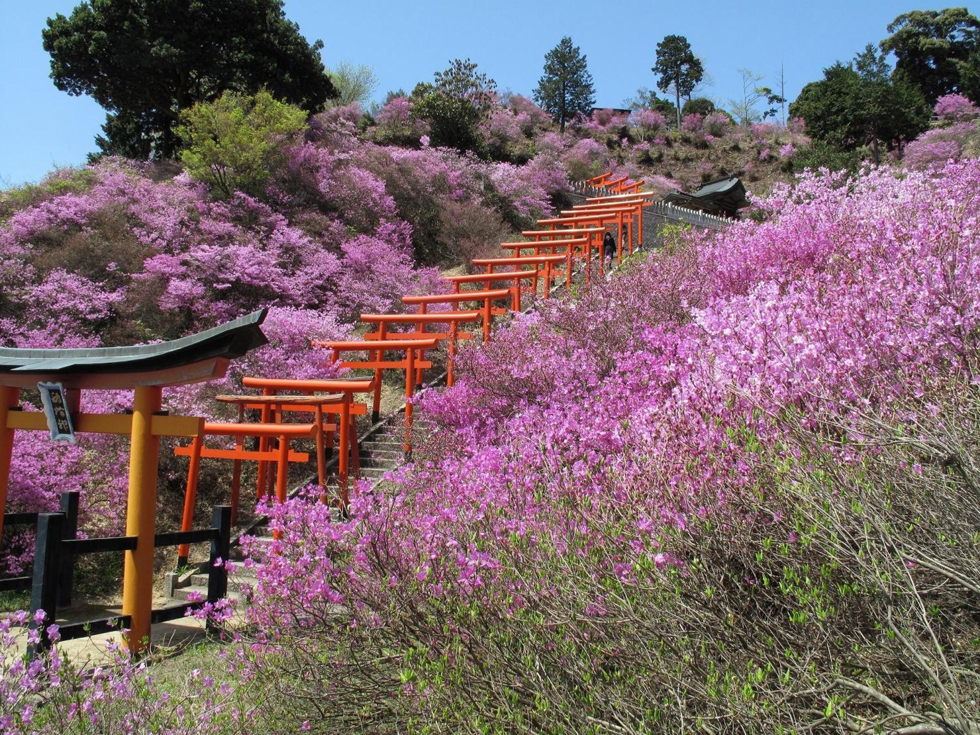 Mercure Kyoto Miyazu Resort & Spa Экстерьер фото